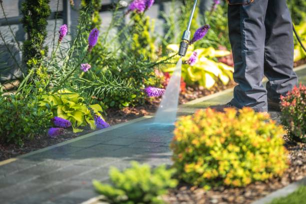 Best Gutter Cleaning  in Yorktown, TX
